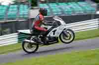 cadwell-no-limits-trackday;cadwell-park;cadwell-park-photographs;cadwell-trackday-photographs;enduro-digital-images;event-digital-images;eventdigitalimages;no-limits-trackdays;peter-wileman-photography;racing-digital-images;trackday-digital-images;trackday-photos